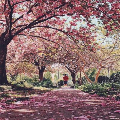 博鱼APP综合体育截图